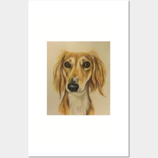 Saluki Lurcher Posters and Art